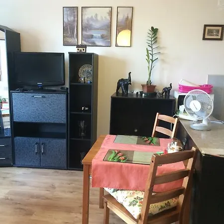 Rytirova Apartamento *